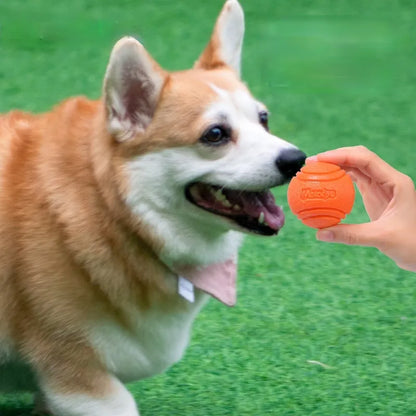 Indestructible Rubber Ball with String™: Tough Chew Toy for Your Pets